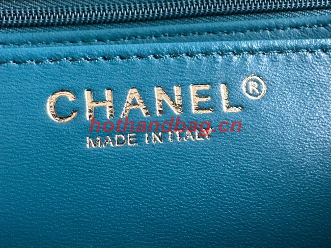 Chanel CLASSIC HANDBAG A01116-2