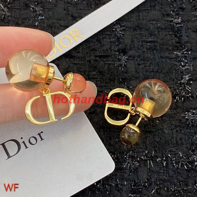 Dior Earrings CE9820