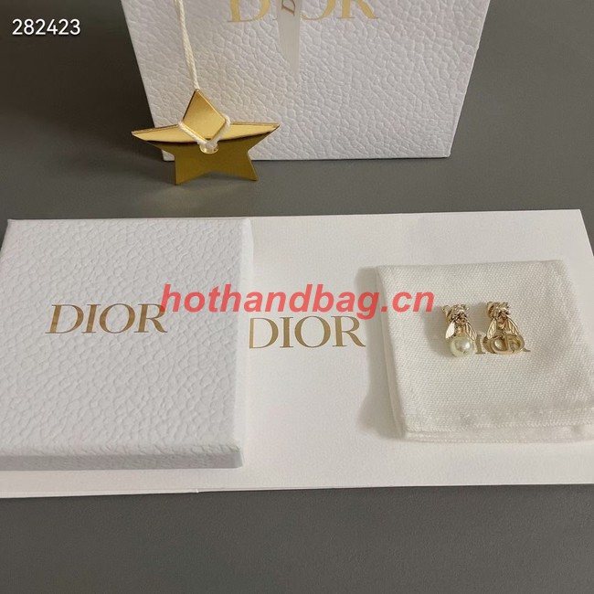Dior Earrings CE9821