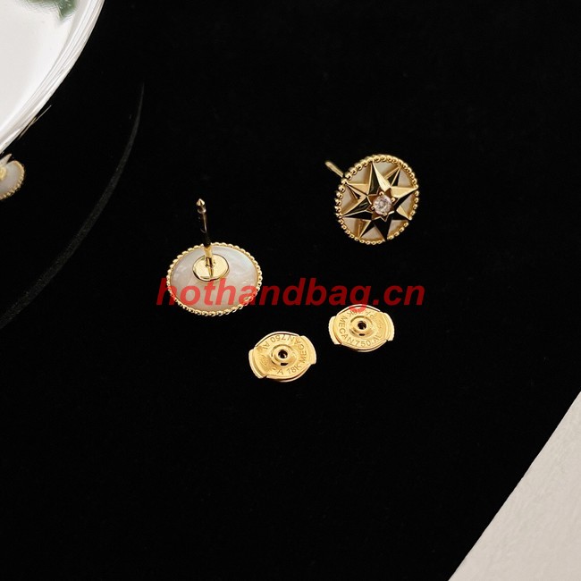 Dior Earrings CE9913