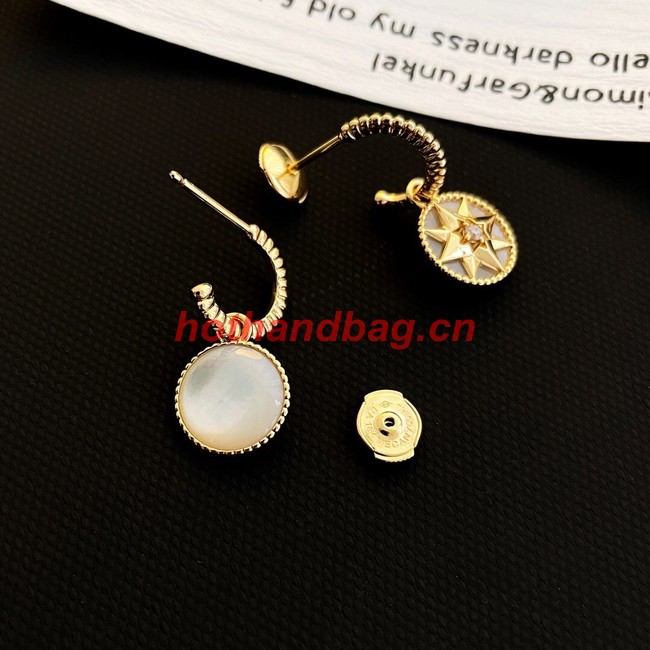 Dior Earrings CE9914