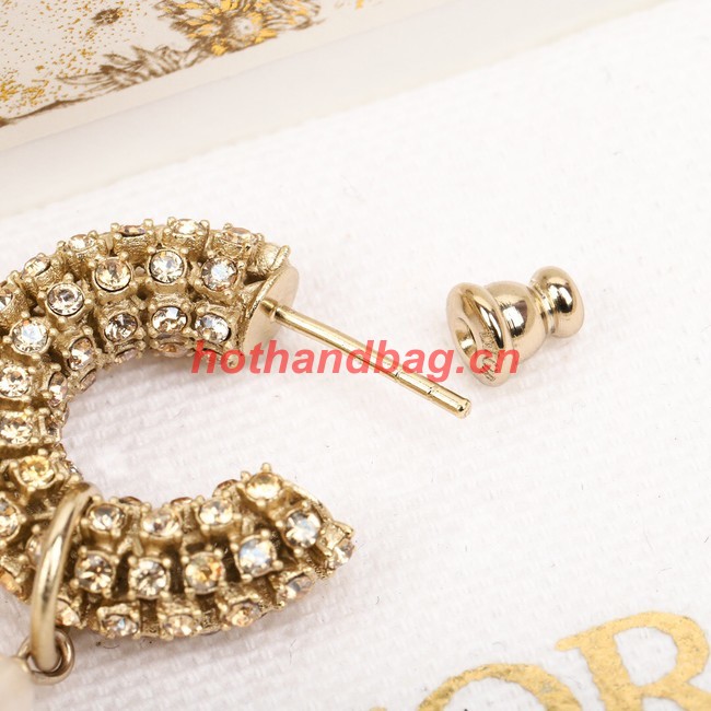Dior Earrings CE9955