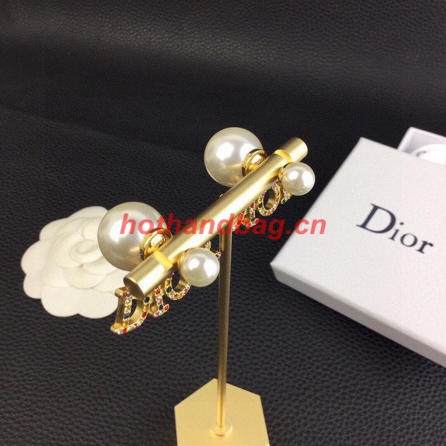 Dior Earrings CE9966