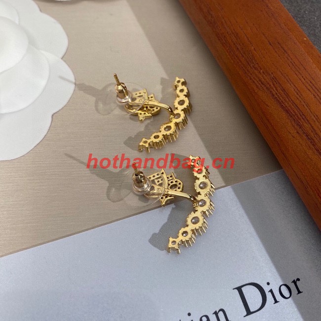Dior Earrings CE10072