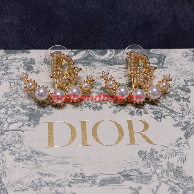Dior Earrings CE10122