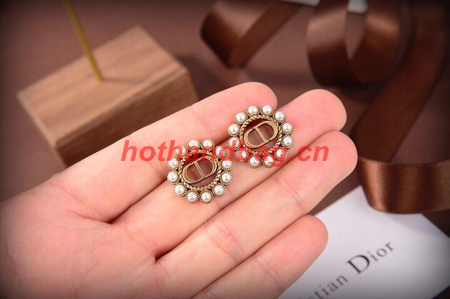 Dior Earrings CE10147