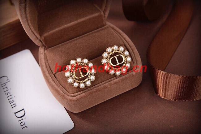 Dior Earrings CE10147