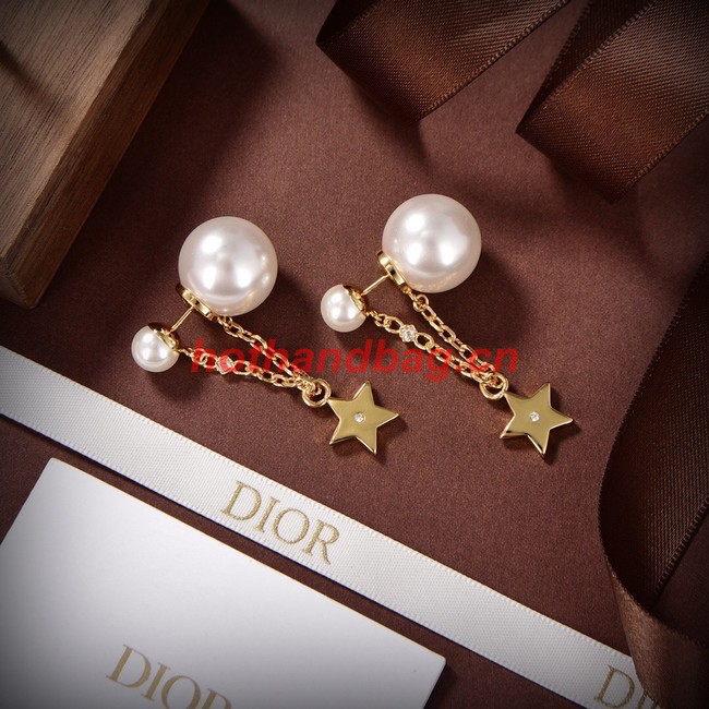 Dior Earrings CE10148