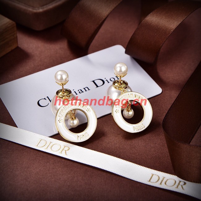 Dior Earrings CE10149