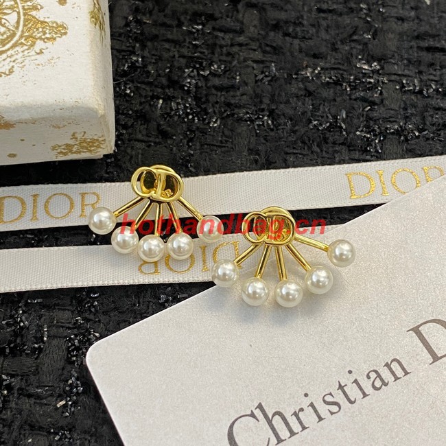 Dior Earrings CE10205