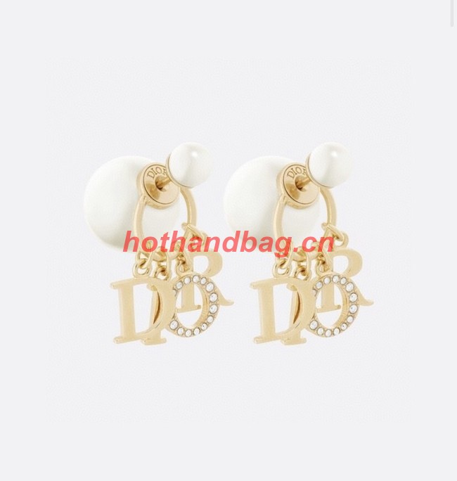 Dior Earrings CE10290