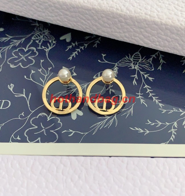 Dior Earrings CE10347