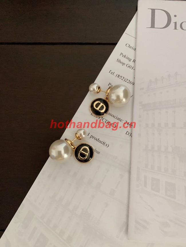 Dior Earrings CE10350