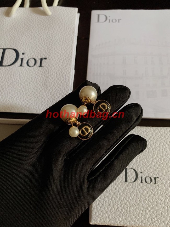 Dior Earrings CE10350