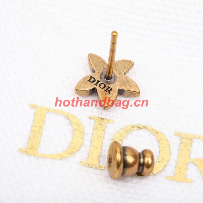 Dior Earrings CE10359