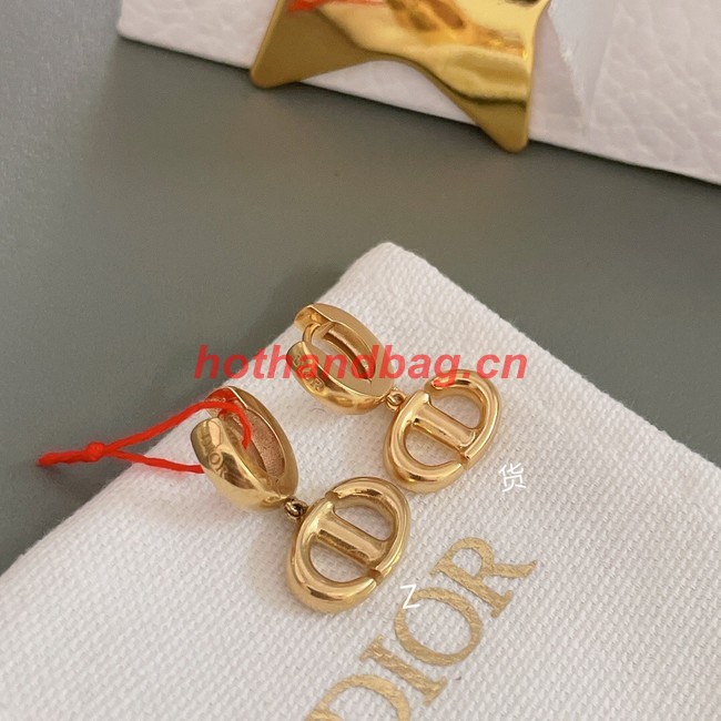 Dior Earrings CE10372