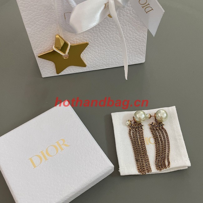 Dior Earrings CE10374