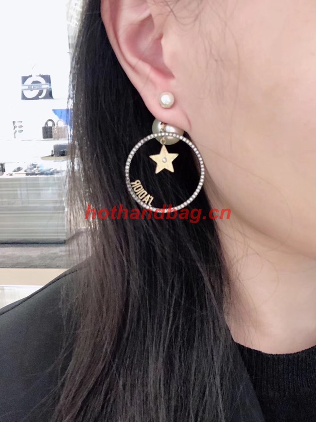 Dior Earrings CE10432