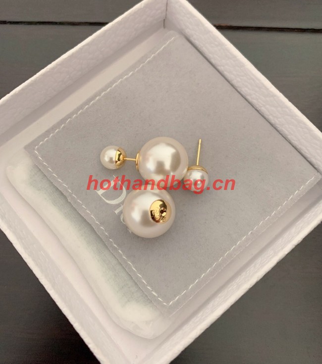 Dior Earrings CE10472