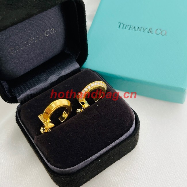 TIFFANY Earrings CE10502