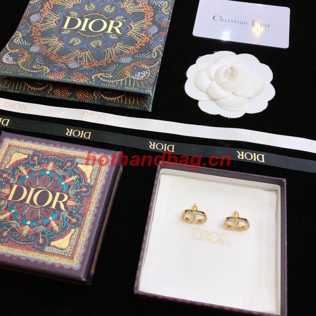 Dior Earrings CE10653