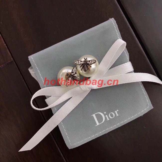 Dior Earrings CE10657
