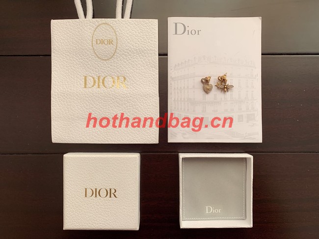 Dior Earrings CE10714