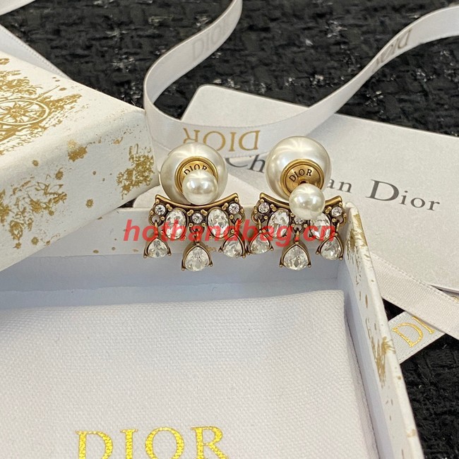 Dior Earrings CE10723