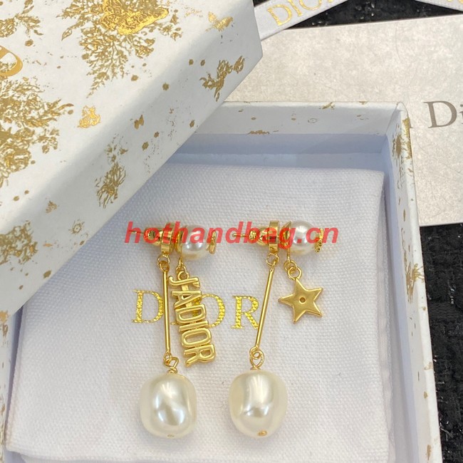 Dior Earrings CE10724