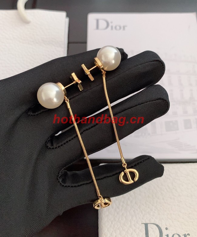 Dior Earrings CE10807
