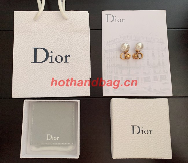 Dior Earrings CE10808