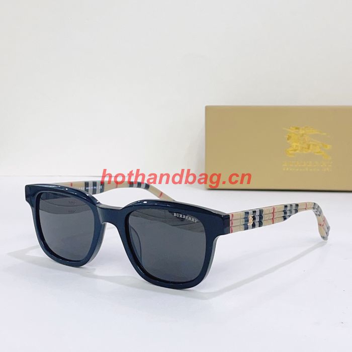 BurBerry Sunglasses Top Quality BBS00665