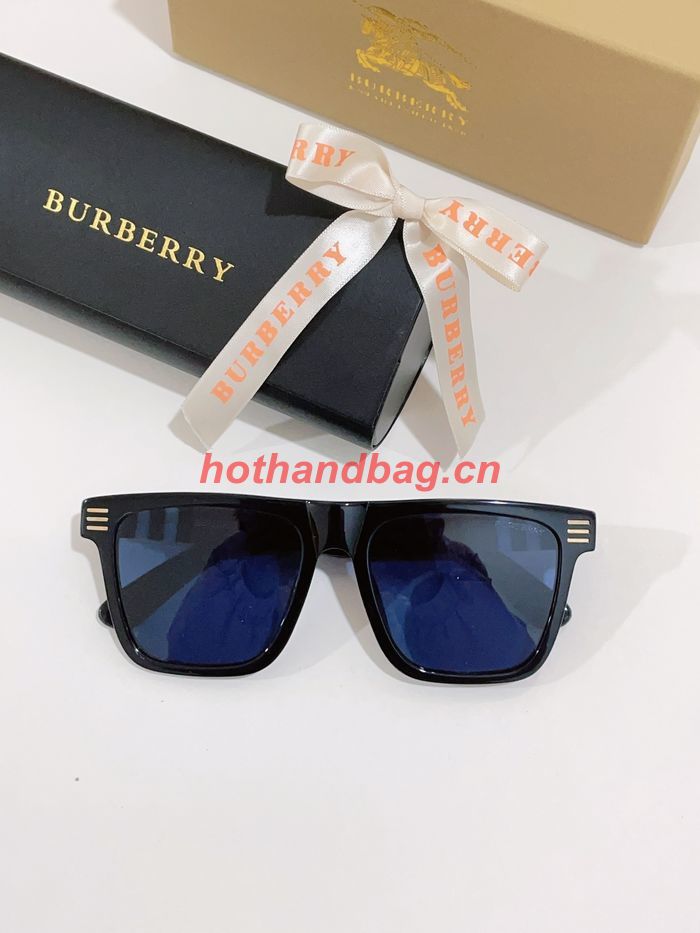 BurBerry Sunglasses Top Quality BBS00689
