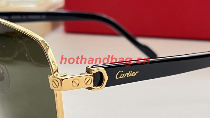 Cartier Sunglasses Top Quality CAS00987