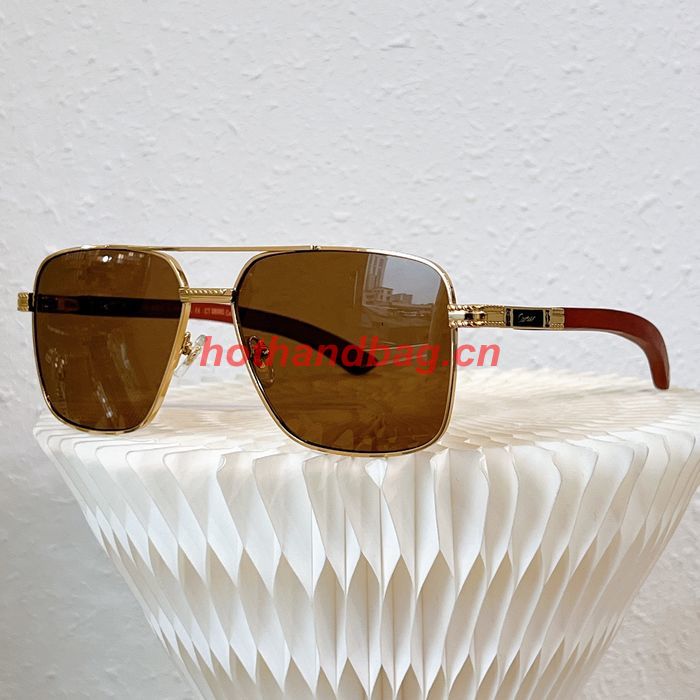 Cartier Sunglasses Top Quality CAS01003