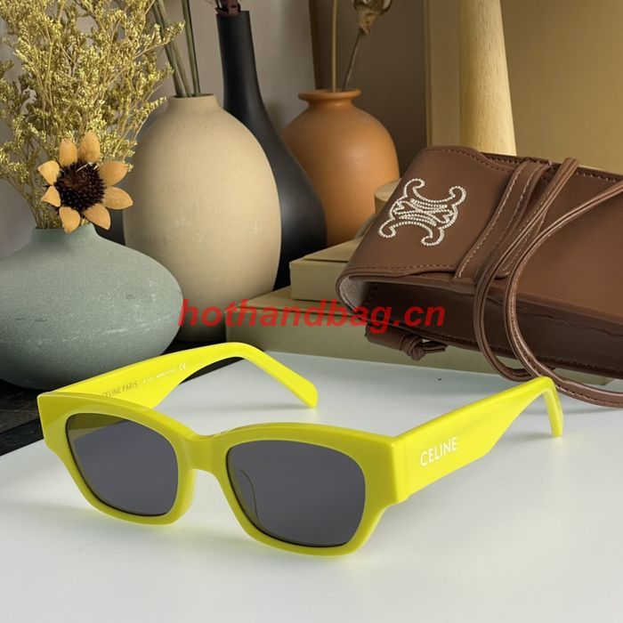 Celine Sunglasses Top Quality CES00398