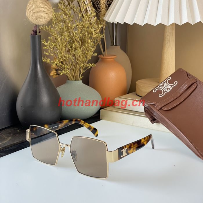 Celine Sunglasses Top Quality CES00406