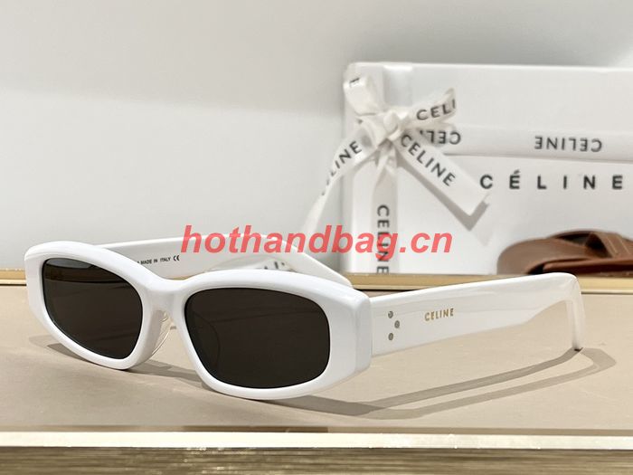 Celine Sunglasses Top Quality CES00430