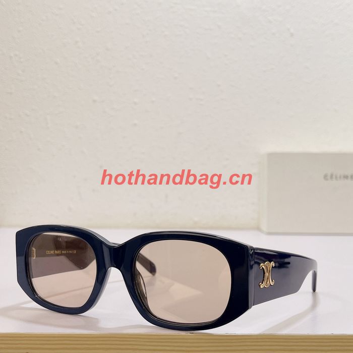 Celine Sunglasses Top Quality CES00448