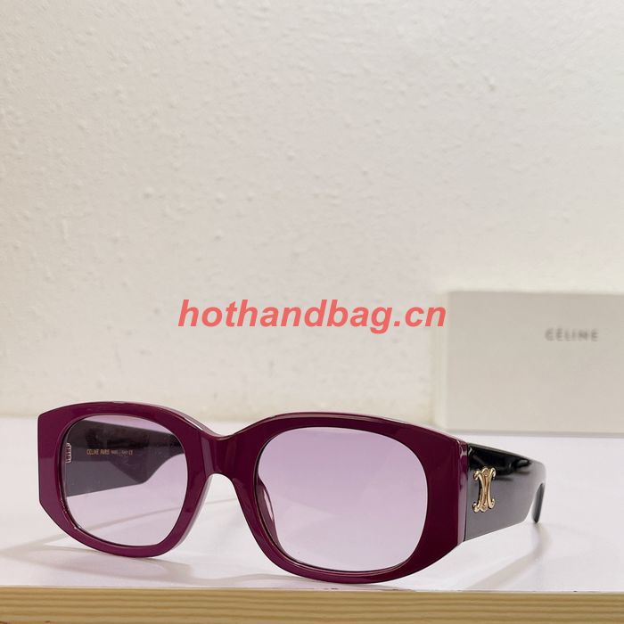 Celine Sunglasses Top Quality CES00449