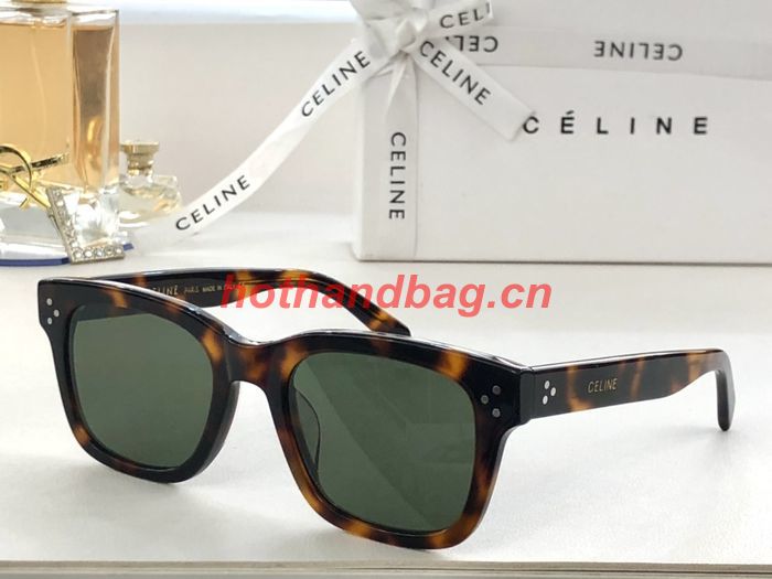 Celine Sunglasses Top Quality CES00475