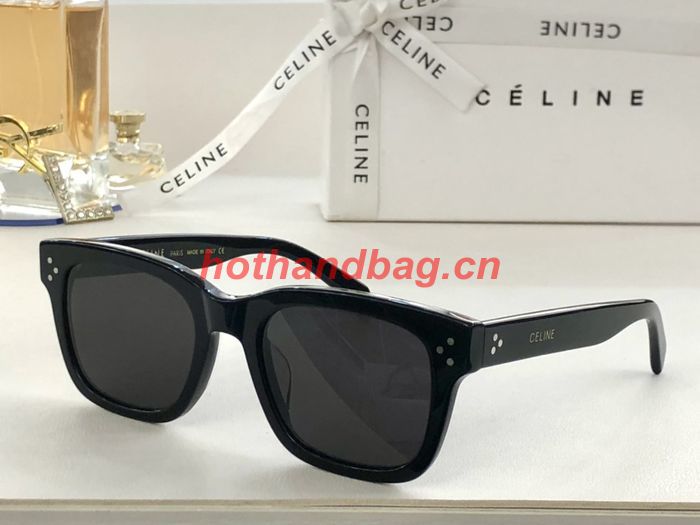 Celine Sunglasses Top Quality CES00476