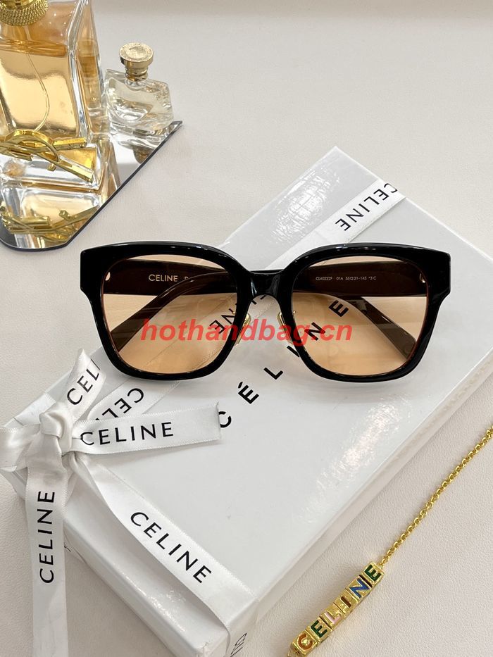 Celine Sunglasses Top Quality CES00481