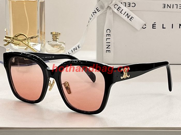 Celine Sunglasses Top Quality CES00483