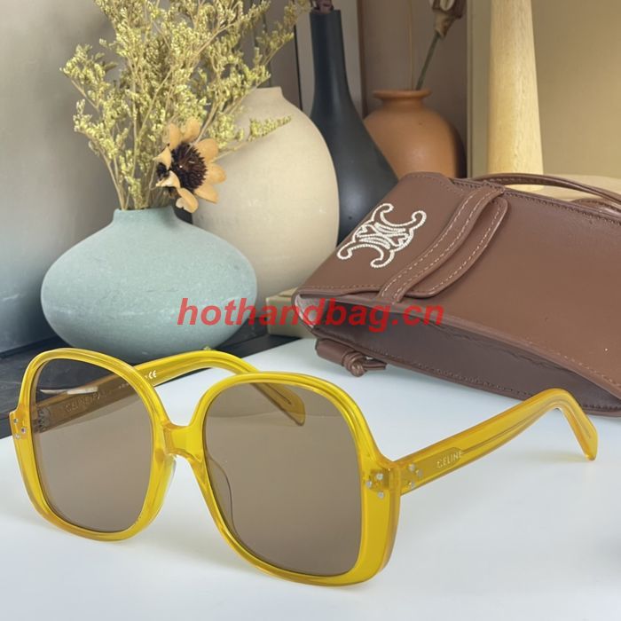 Celine Sunglasses Top Quality CES00504