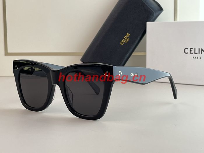 Celine Sunglasses Top Quality CES00543