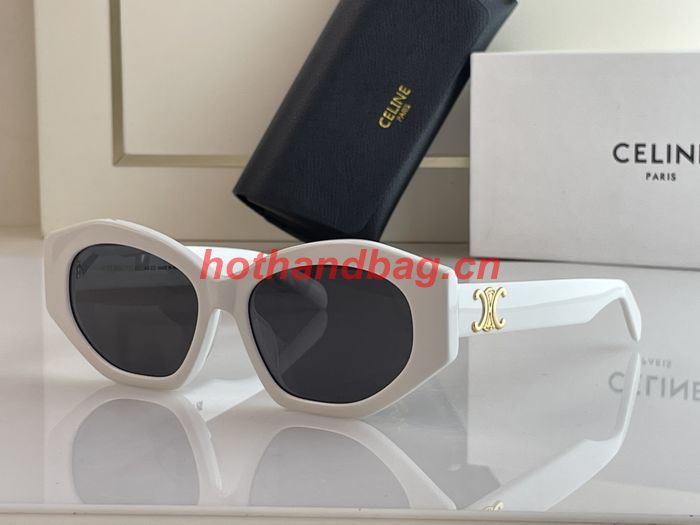 Celine Sunglasses Top Quality CES00563