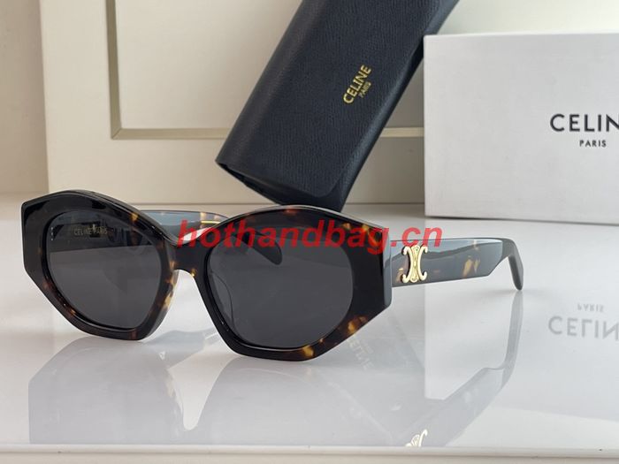 Celine Sunglasses Top Quality CES00564
