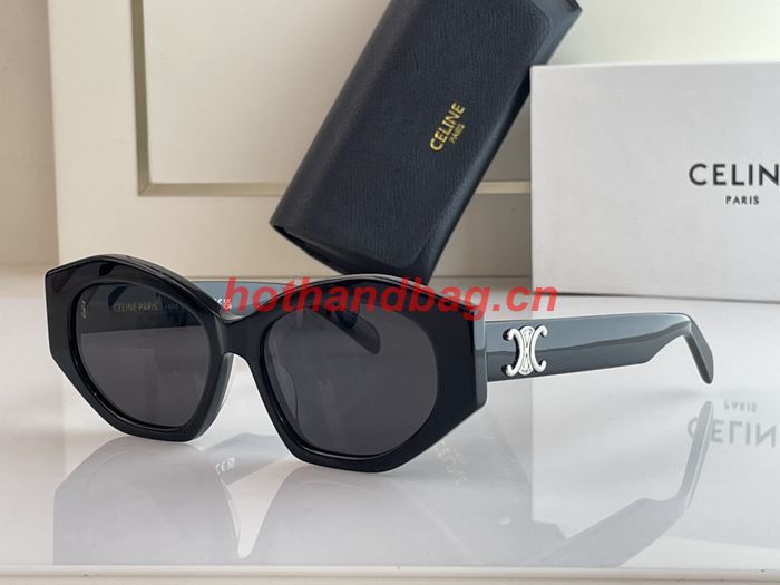 Celine Sunglasses Top Quality CES00565