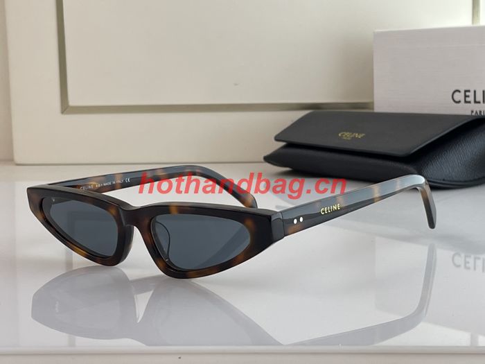 Celine Sunglasses Top Quality CES00570